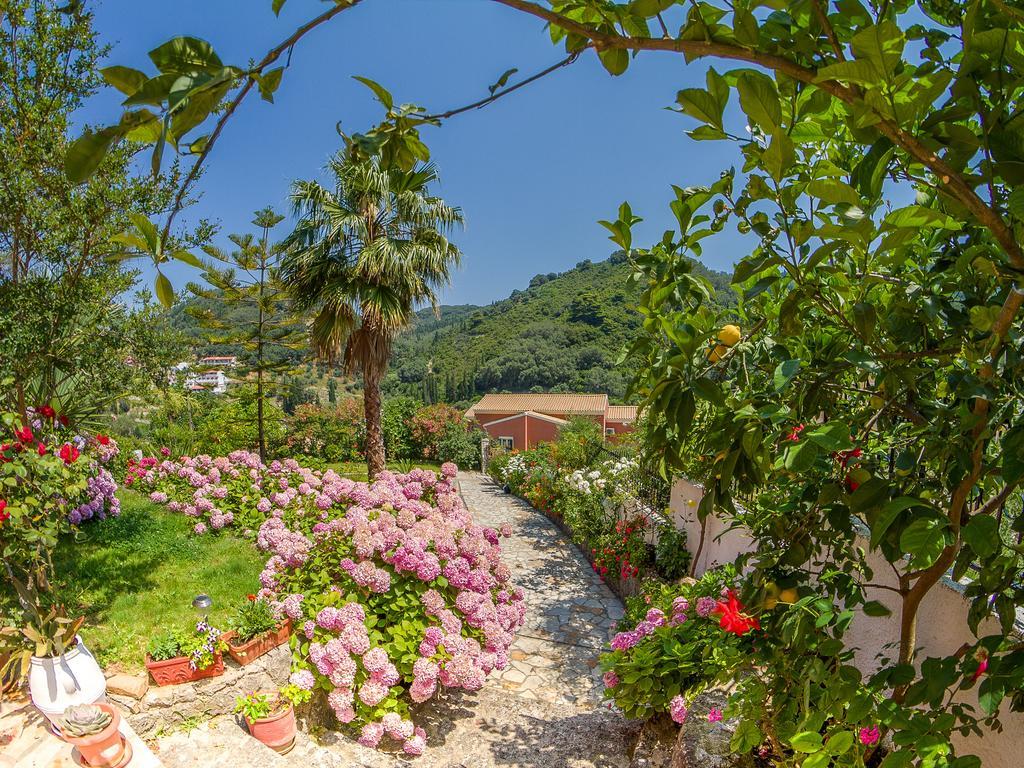 Evergreen Apartments Agios Gordios  Room photo